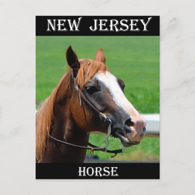 Postal Caballo de Nueva Jersey (Anverso)