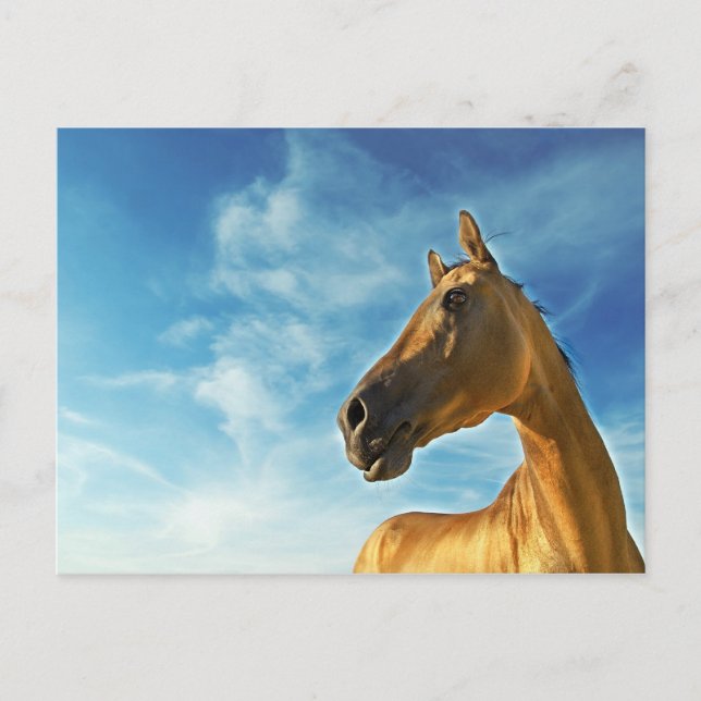 Postal caballo de oro de Turkmenistán (Anverso)