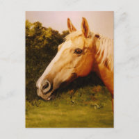 Caballo de Palomino con blanco negro