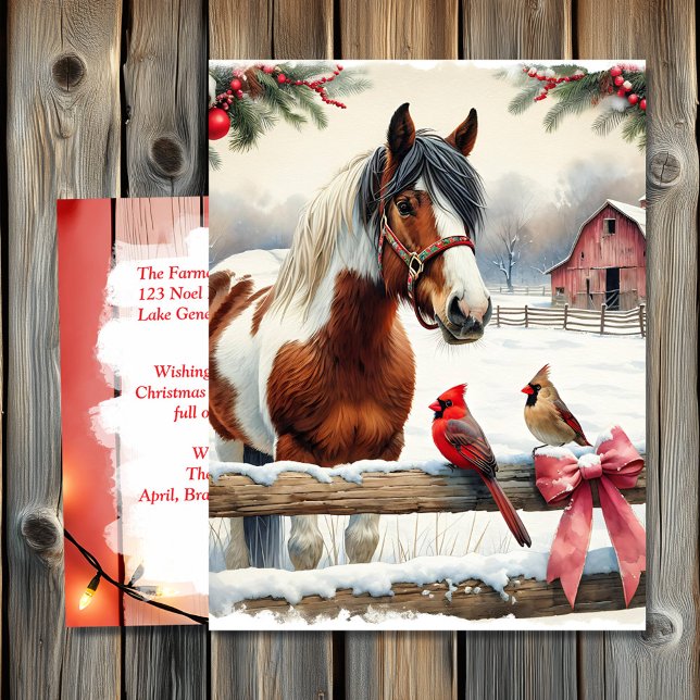 Postal Caballo de Pinto visto y cardenales personalizados (Subido por el creador)