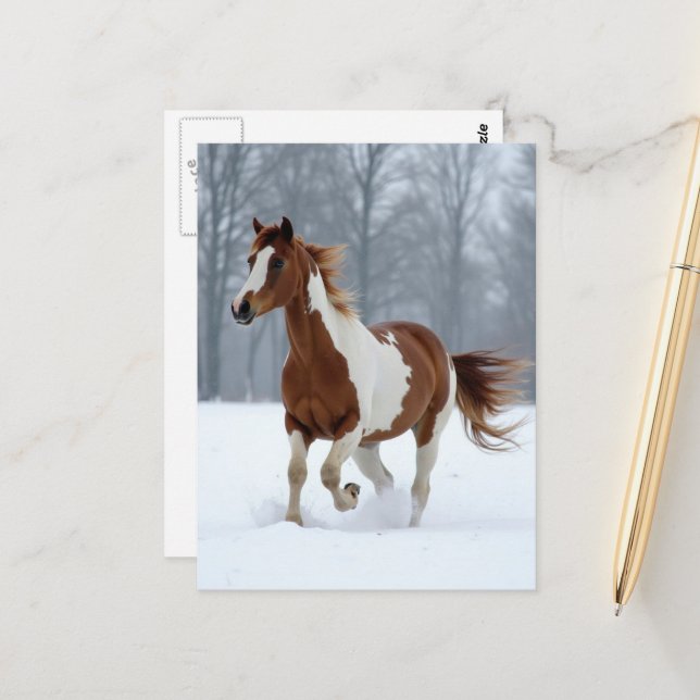 Postal Caballo de Pintura de Invierno Único (Anverso/Reverso In Situ)