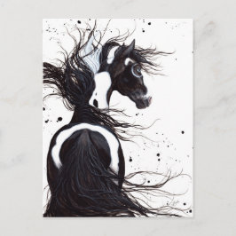 Postal Caballo de pintura de pinzas blancas negras por Bi