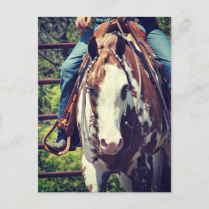 Postal Caballo de pintura occidental