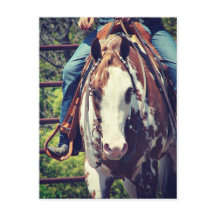 Caballo de pintura occidental