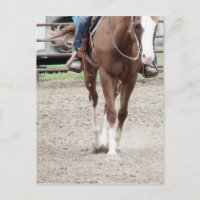 Caballo de Pintura Occidental