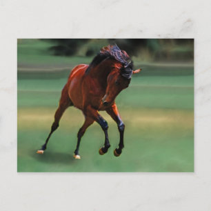 Postal Caballo de rodeo para el vaquero
