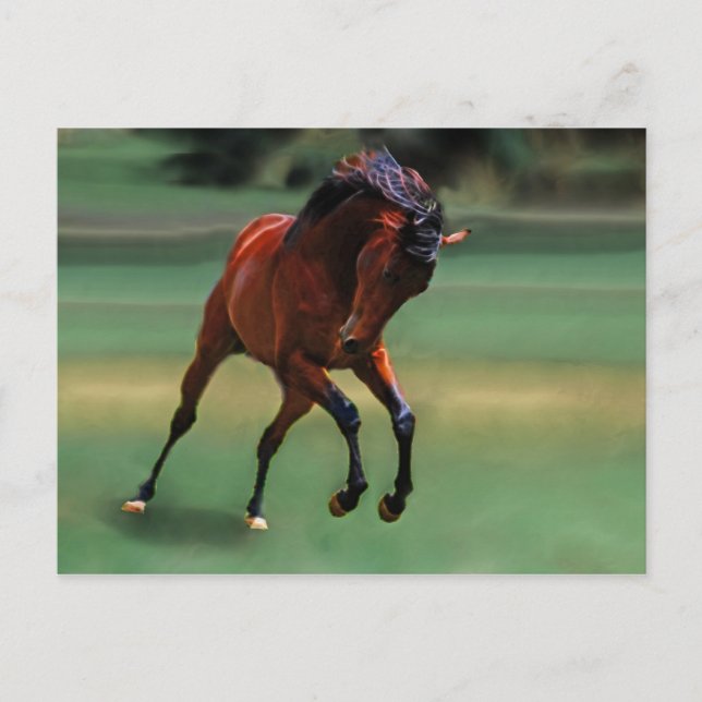 Postal Caballo de rodeo para el vaquero (Anverso)