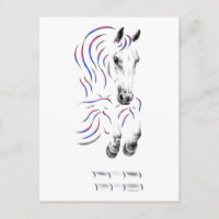 Caballo de Salto Elegante