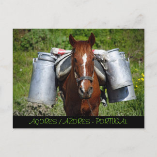Postal Caballo de trabajo