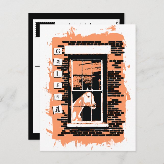 Postal caballo de ventana de galena (Anverso / Reverso)