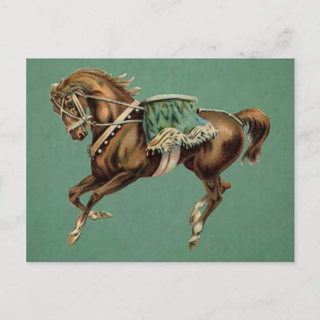 Postal caballo del circo del vintage (Anverso)