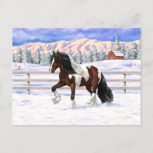 Postal Caballo del gitano Vanner Tinker Bay Pinto Brown S