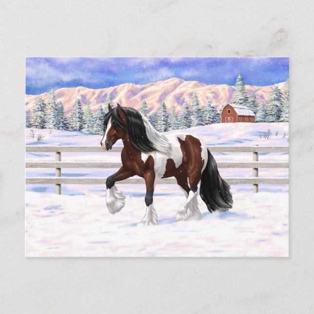 Postal Caballo del gitano Vanner Tinker Bay Pinto Brown S (Anverso)