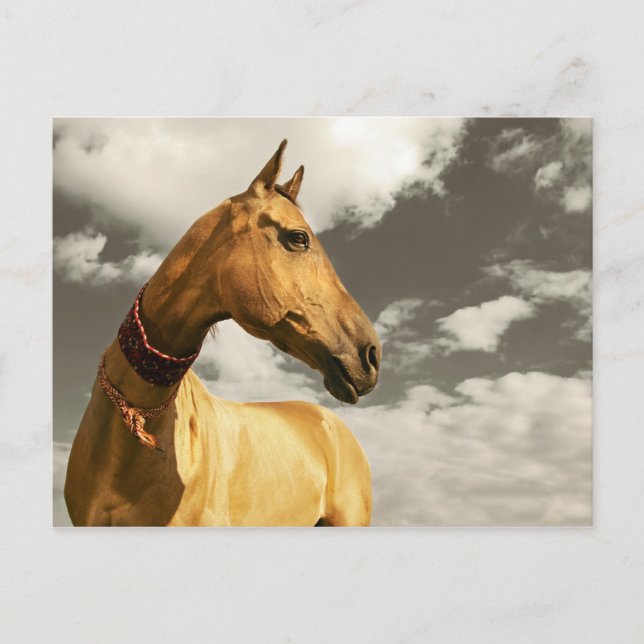 Postal Caballo dorado de Turkmenistán (Anverso)