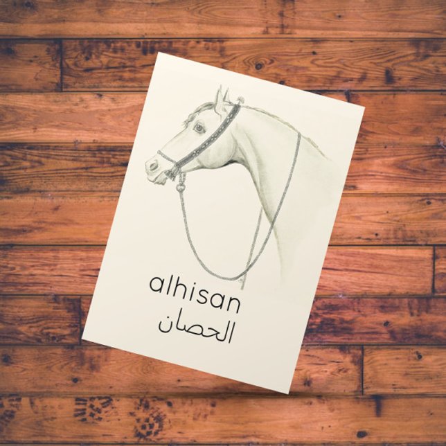 Postal Caballo en árabe - ilustracion vintage (Subido por el creador)