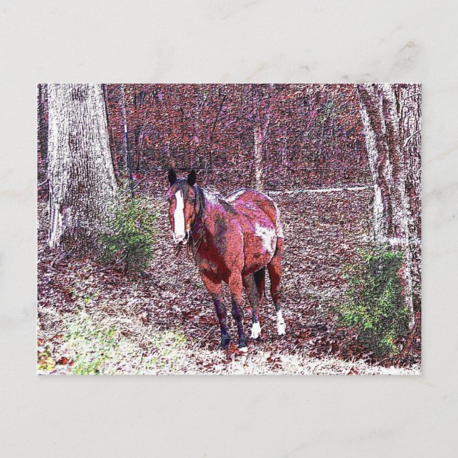 Postal Caballo en el bosque (Anverso)