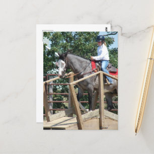 Postal Caballo en la Feria del Condado de Bridge Trail