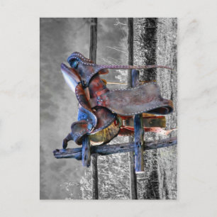 Postal Caballo En La Valla De Corral En Occidente