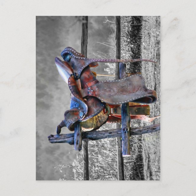 Postal Caballo En La Valla De Corral En Occidente (Anverso)