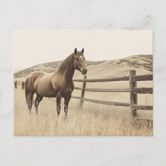 Postal Caballo en la vintage Sepia (Anverso)