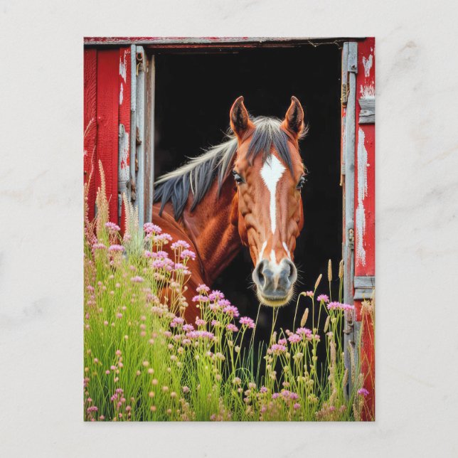 Postal Caballo En Puerta Del Granero (Anverso)