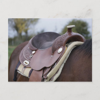 Postal Caballo en un caballo