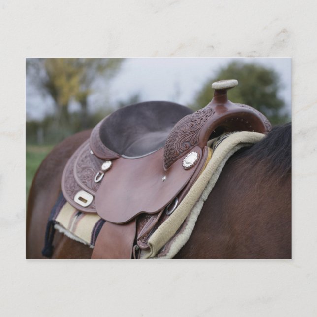 Postal Caballo en un caballo (Anverso)