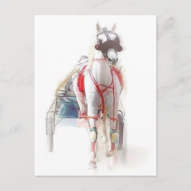 Postal Caballo estándar (Anverso)