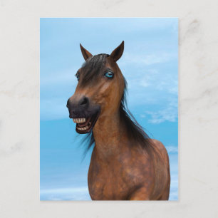 Postal Caballo Feliz