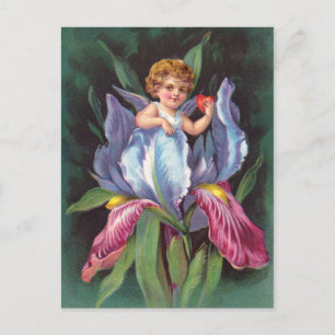 Postal Caballo: Flor Cherub Iris