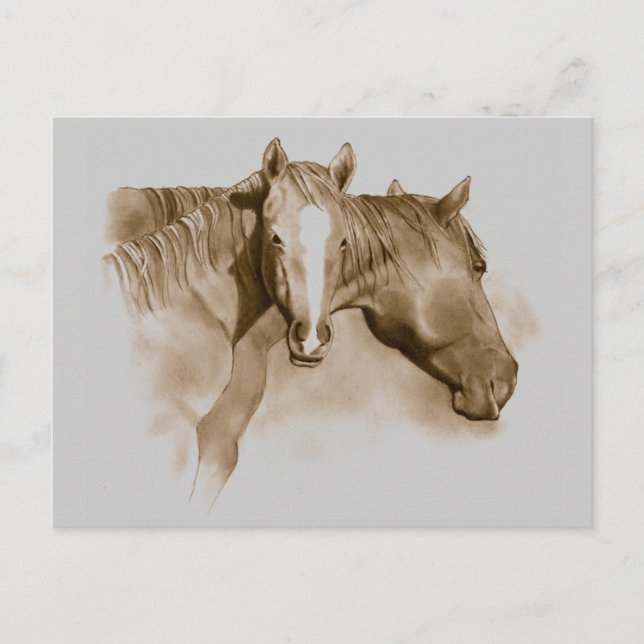 POSTAL CABALLO, FOAL: SEPIA: ARTE PENCIENTE (Anverso)