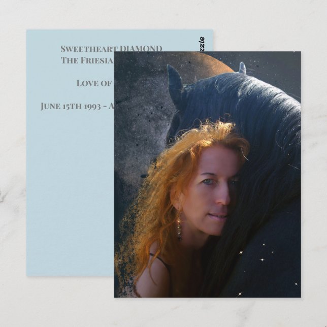 Postal Caballo Friesiano de Belleza Negra - Postcard (Anverso / Reverso)