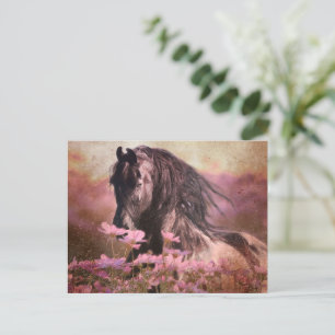 Postal Caballo Friesiano de Belleza Negra - Postcard