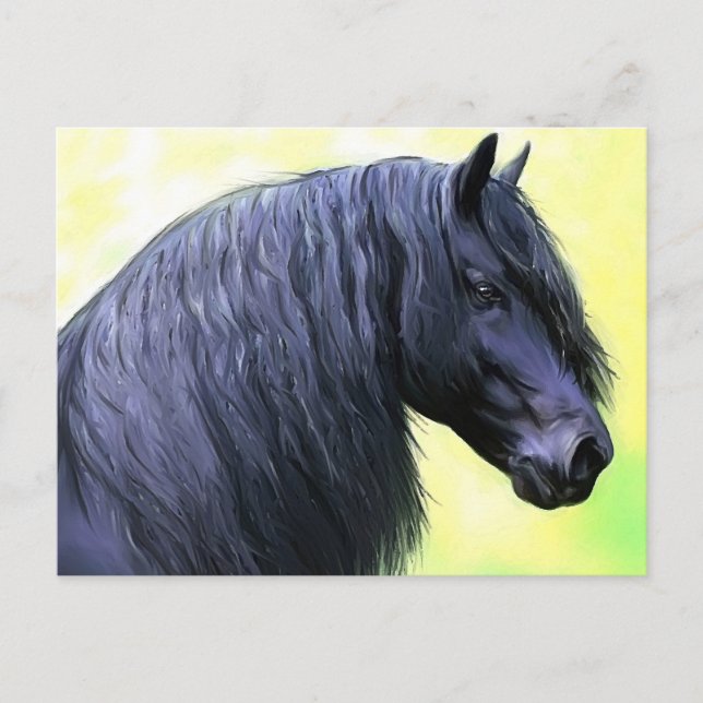 Postal caballo frisón (Anverso)