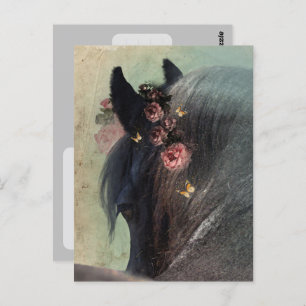 Postal Caballo frisón - Postcard