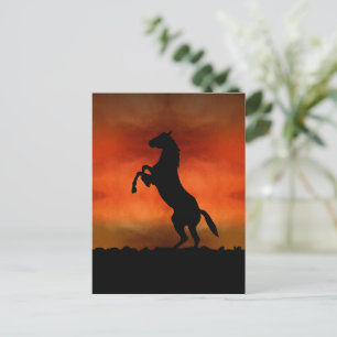 Postal Caballo gratis al atardecer