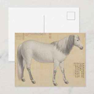 Postal Caballo Gris Pío - Arte Chino Antiguo y Refinado
