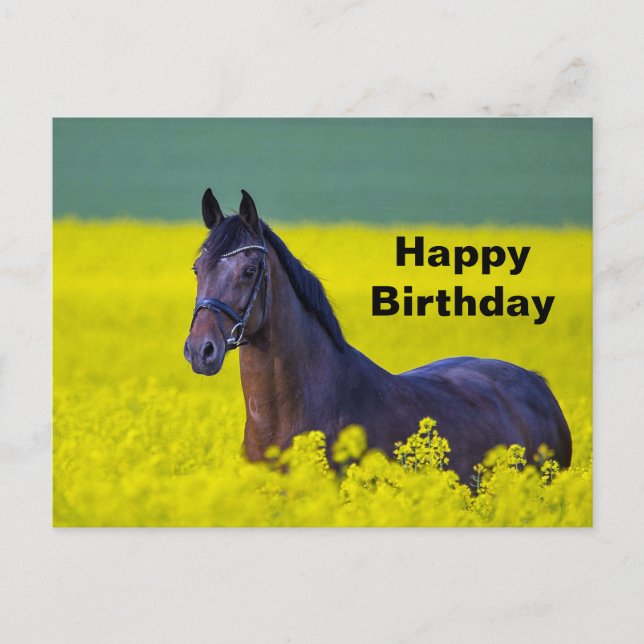 Postal Caballo Hermoso Flores Amarillas Foto Cumpleaños (Anverso)