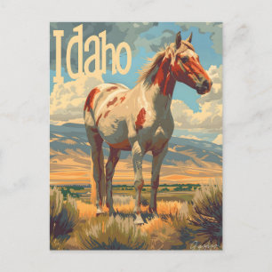 Postal Caballo Idaho Appaloosa