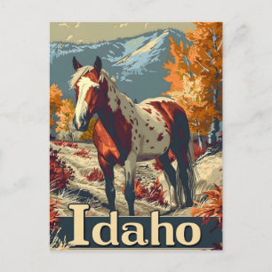 Postal Caballo Idaho Appaloosa