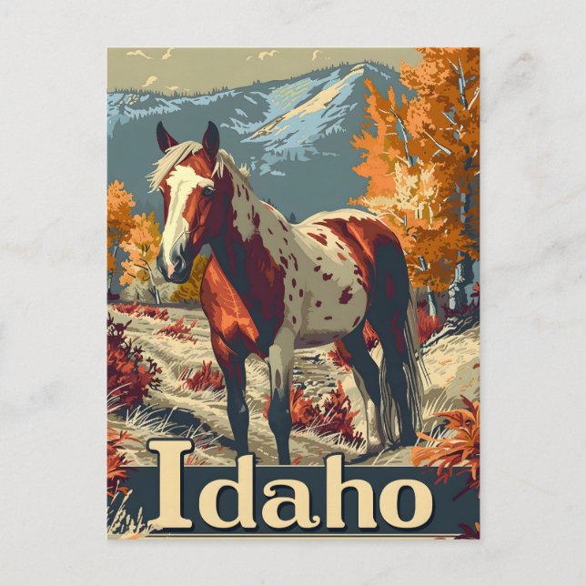 Postal Caballo Idaho Appaloosa (Anverso)