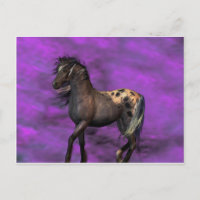Caballo Indio