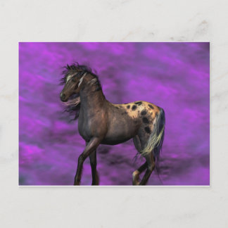 Postal Caballo Indio
