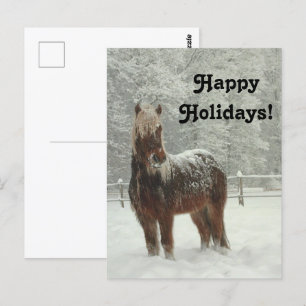 Postal Caballo islandés en invierno, feliz foto de feriad