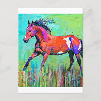 Postal Caballo loco