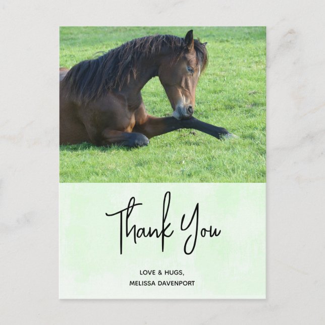 Postal Caballo marrón bonito sentado en la hierba gracias (Anverso)