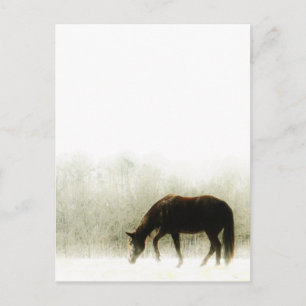 Postal Caballo marrón chocolate en la niebla
