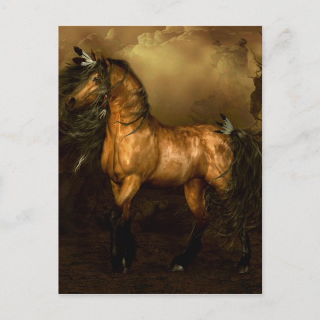 Postal Caballo nativo americano de Shikoba (Anverso)