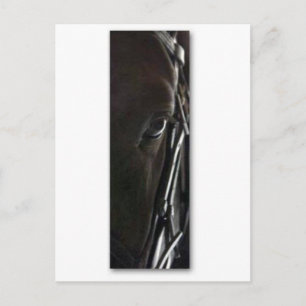 Postal caballo negro