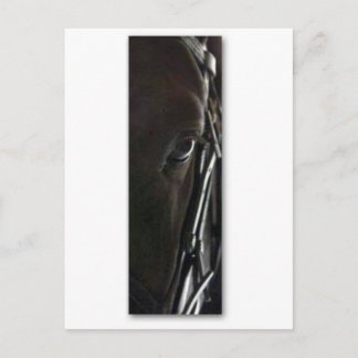 Postal caballo negro